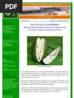 046 - 11.05.10 - Cultivo de La Guanábana PDF