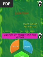 Dna Ligase, Terminal Transferase, Adapter and Linker