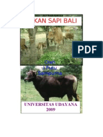 Pakan Sapi Bali