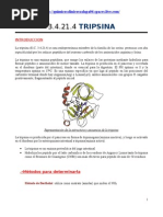 Quimica Clinica-Tripsina