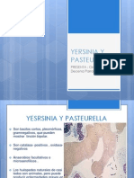 Yersinia y Pasteurella