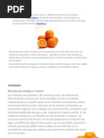 Diapositivas Naranjas