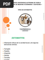 Expo Estomatitis