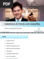 Dreamwares Salesforce/Force - Com Expertise