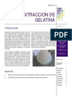 Extraccion de Gelatina