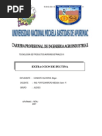 Extraccion de Pectina I PDF