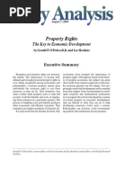 Property Rights: The Key To Economic Development, Cato Policy Analysis No. 482