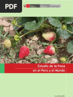 Estudio Fresa