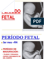 Periodo Embrionario y Fetal