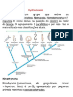 Cyclo Neural I A