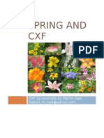 Spring and CFX by Example