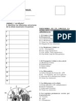 Prueba de Celula