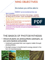 Photosynthesis - New