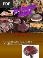 Use of Ganoderma