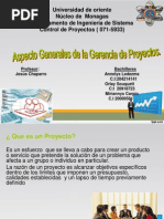 Aspecto Generales de La Gerencia de Proyecto