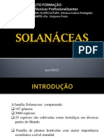 Solanaceae PDF