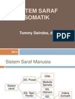 Indera Somatik