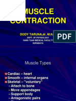 Kuliah Muscle Contraction 2010