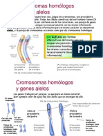 Genética Alelos