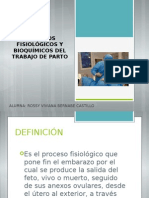 Procesos Fisiológicos y Bioquímicos Del Trabajo de Parto