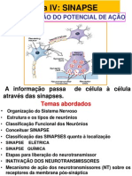 Aula IV - SINAPSE (Ed - Física)