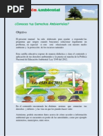 Cartilla Ambiental Derechos Work