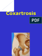 07 - Coxartrosis