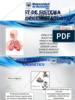 Test de Sistema Cardiorrespiratorio (2da Expo de Preparación Física I)