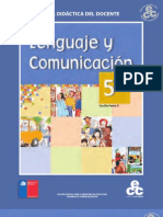 Lenguaje y Comunicación - 5° Básico (GDD)