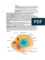 Anatomia y Fisiologia de La Celula