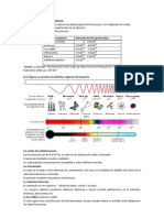 Generacion OEM