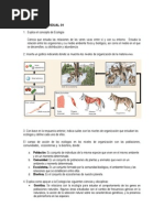 Actividad Individual 02