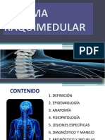 Trauma Raquimedular