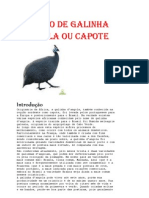 Criação de Galinha D'angola Ou Capote