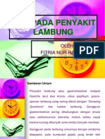 Diet Pada Penyakit Lambung