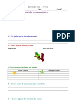 Ficha de Estudo Do Meio 3º Ano