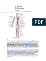 Circulatory System: From Wikipedia, The Free Encyclopedia