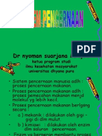 Sistem Pencernaan (Anatomi Manusia)