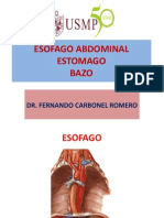 Usmp - Esofago Abdominal - Bazo