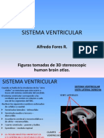 Sistema Ventricular SNC (Sintergetica)