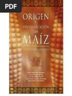 El Origen Del Maíz