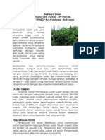 Budidaya Tomat PDF