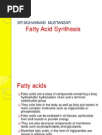 Fatty Acids Synthesis