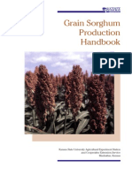 Grain Sorghum Production Handbook