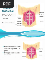 Anatomia de La Pared Abdominal