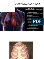 Anatomia e Relacoes Do Coracao