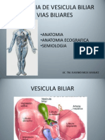 Ecografia de Vesicula Biliar y Vias Biliares