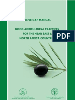 Olive Gap Manual PDF