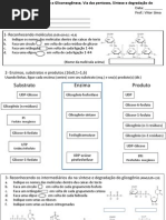 003-EXERCICIOS Glicogen - Pentoses - 001 PDF