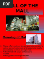 Call of The Mall